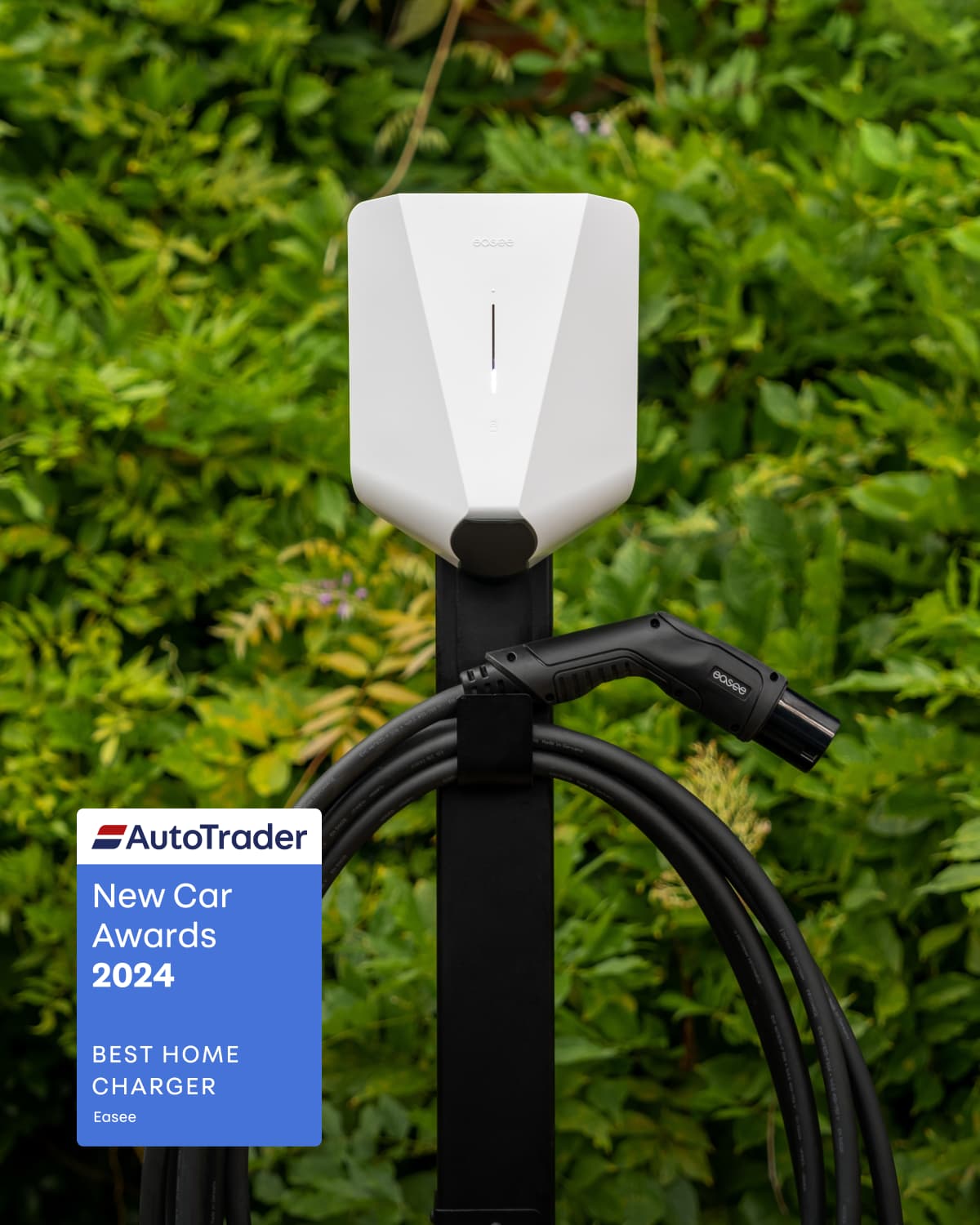 A white charger with leaves in background